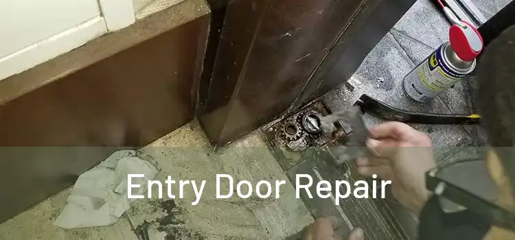  Entry Door Repair 