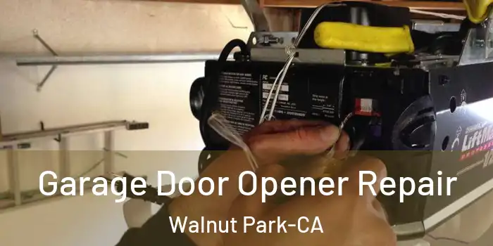  Garage Door Opener Repair Walnut Park-CA