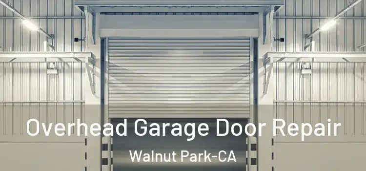  Overhead Garage Door Repair Walnut Park-CA