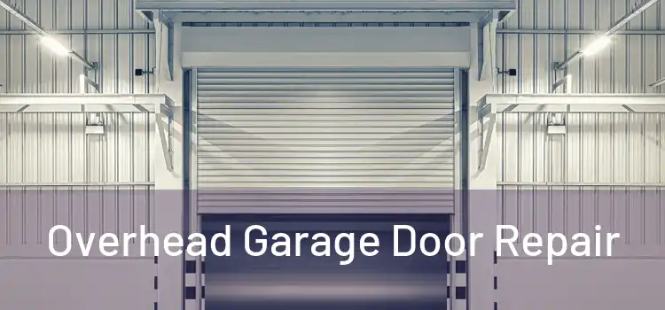  Overhead Garage Door Repair 