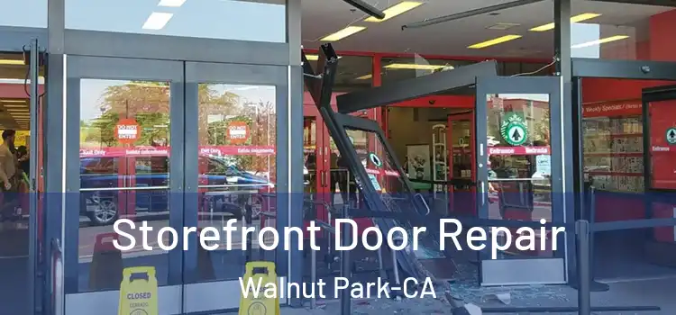  Storefront Door Repair Walnut Park-CA